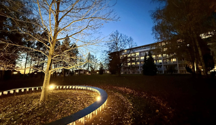 Domov pro seniory U Biřičky v Hradci má nové pietní místo, Strom vzpomínek