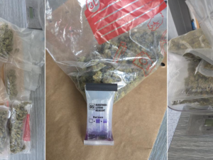 Masivní zatýkání na Znojemsku. Bratři několik let prodávali kokain a další drogy