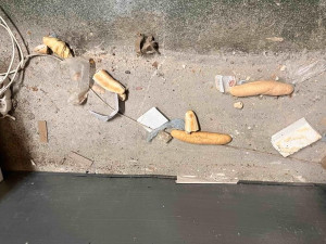 Inspektoři zavřeli pekárnu v Králově Poli. Našli trus hlodavců i plíseň