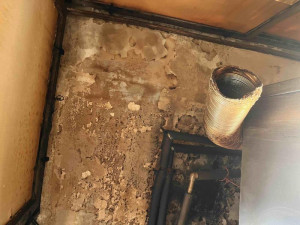 Inspektoři zavřeli pekárnu v Králově Poli. Našli trus hlodavců i plíseň