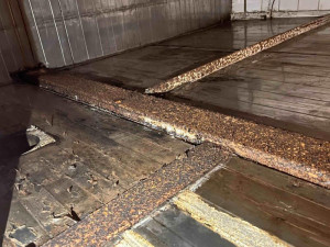 Inspektoři zavřeli pekárnu v Králově Poli. Našli trus hlodavců i plíseň