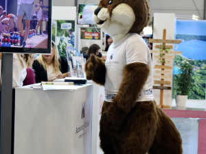 Na brněnské výstaviště se sjíždí cestovatelé, začala tam výstava karavanů