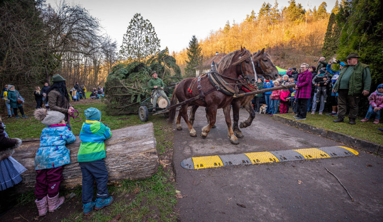 Michal Ruzicka / www.michalruzicka.com