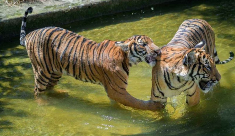 577880858_1385736806895195_7319120844779661059_n