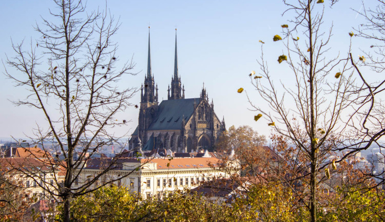 17320555643073-139-img-6493edit