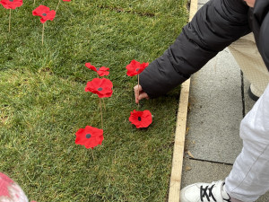 Lidé na Moravském náměstí v Brně zasadili vlčí máky jako symbol úcty k válečným veteránům