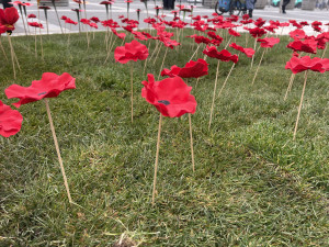 Lidé na Moravském náměstí v Brně zasadili vlčí máky jako symbol úcty k válečným veteránům