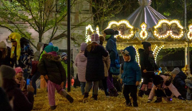 17337667259832-139-img-7215edit