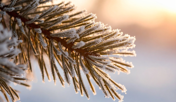 O víkendu bude v Libereckém kraji mrznout. Ojediněle může i sněžit