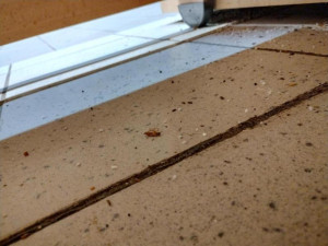 Inspektoři zavřeli pekárnu v brněnském Albertu. Provozovnu v Tkalcovské obýval hmyz