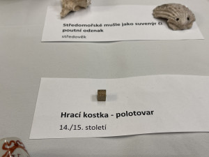 Pod Janáčkovým kulturním centrem stál ve 13. století zděný dům. Je zachovalý, chválí si archeologové