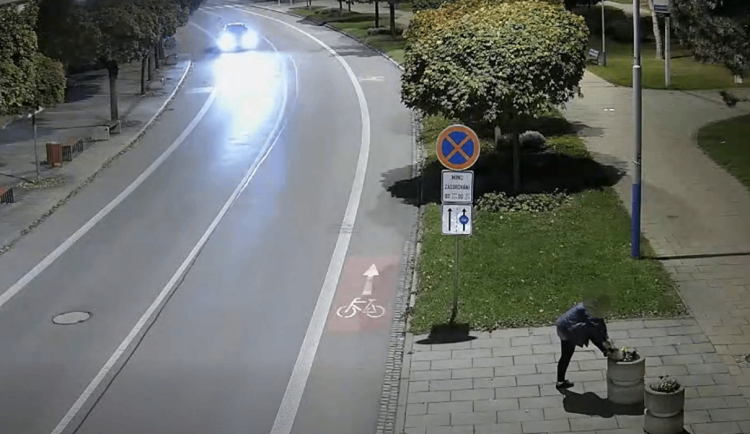 Ženě z Břeclavi učarovaly květiny z městských záhonů. Nosila si je domů