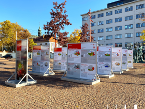 Výstava projektů na Mendlově náměstí