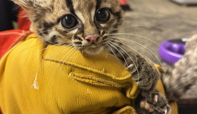 587740233_842182411847240_4154649334966521751_n