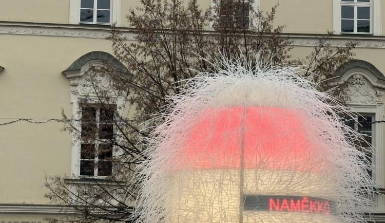 Výstřední vánoční ozdoba baví Brňany. Sdílí si hlášky, které chrlí chlupaté vejce