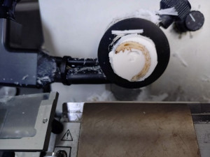 Larvy, které jedí plasty? Vědci v Brně zkoumají jejich schopnosti