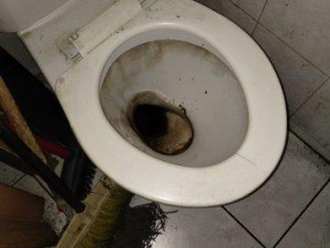 Inspektoři zavřeli bistro v centru Brna. Vadil jim nepořádek, plíseň i boty u jídla