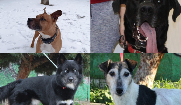 Snímek obrazovky 2025-12-09 083139