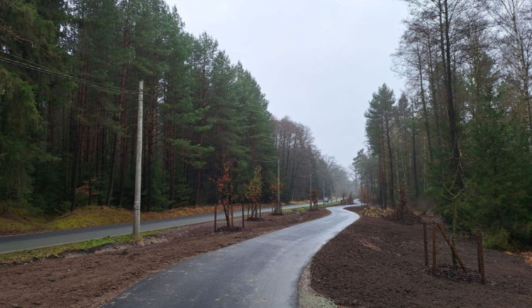 Hradci Králové hrozí pokuta za stavbu stezky na okraji hradeckých lesů