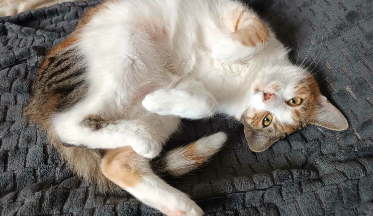 602385465_25550225171263485_7899534460530334305_n