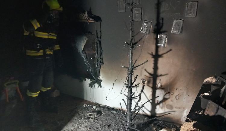 Na Štědrý den vzplály stromky dvěma jihomoravským rodinám. Na vině jsou prskavky