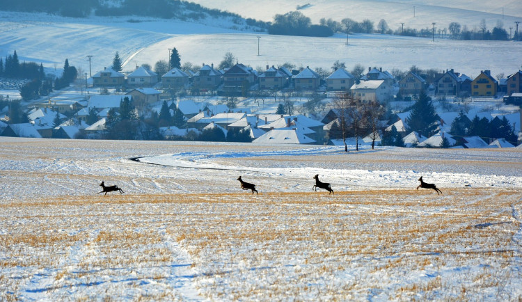 Ilustrační fotografie