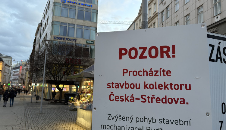 Javory na České v Brně půjdou během ledna k zemi, ustoupí výstavbě kolektoru