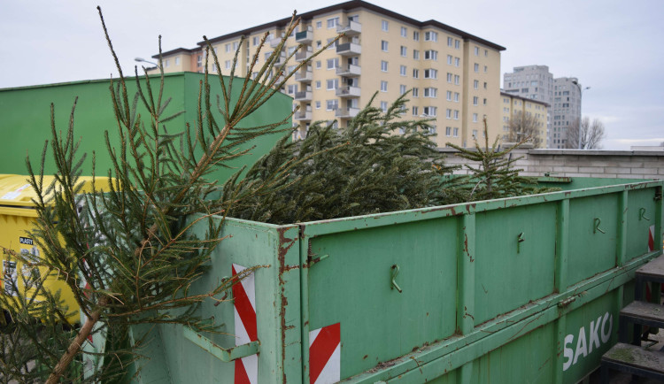 Kam s vánočním stromkem? V Brně patří na sběrný dvůr nebo vedle černé popelnice