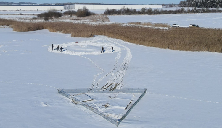 Zamrzlý rybník umožnil zatlouct trubky do dna. Vznikne hnízdní ostrůvek pro racky