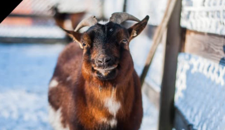 612607863_1285395546956443_1776406636662717564_n