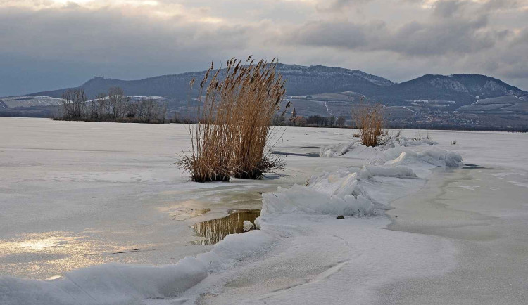 614236128_1280152777466382_8645617029291264350_n