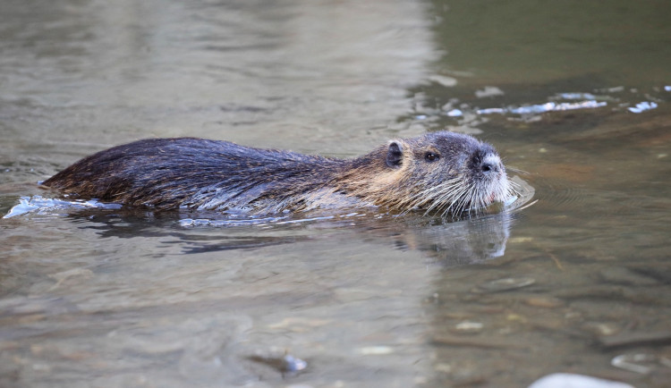 615426136_1288090596685605_7662233022282717555_n