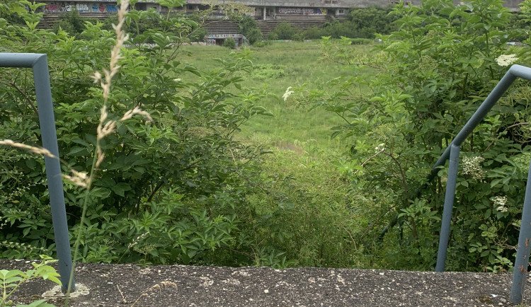 Ilustrační fotografie