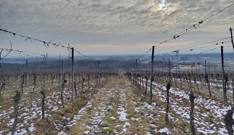 Ilustrační fotografie