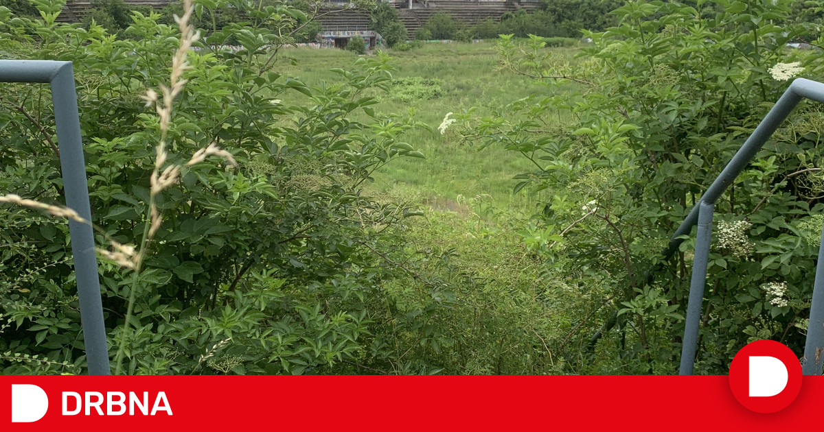 Za Lužánky: Zbrojovka Fans Enter Local Politics