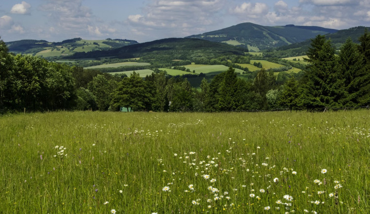 Krkonošský národní park nakoupil 13 hektarů pozemků za bezmála osm milionů