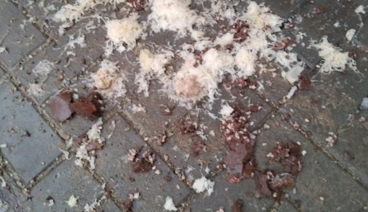 Jsem agentka FBI, tvrdila šedesátnice z Brna. Z okna vrhala krouhané zelí