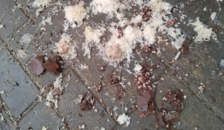 Jsem agentka FBI, tvrdila šedesátnice z Brna. Z okna vrhala krouhané zelí