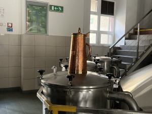 Brněnští sládci začali s výrobou zeleného piva. Lidé ho ochutnají o Velikonocích