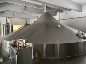 Brněnští sládci začali s výrobou zeleného piva. Lidé ho ochutnají o Velikonocích