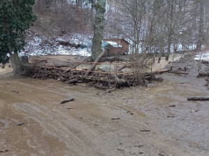 FOTO: Naředěná kejda z jímky na Znojemsku se už dostala do národního parku Podyjí