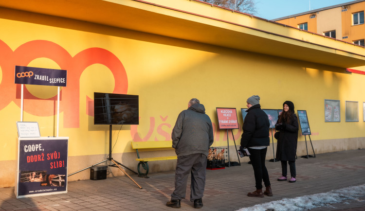 V Novém Jičíně budou dnes protesty proti vajíčkům z klecového chovu