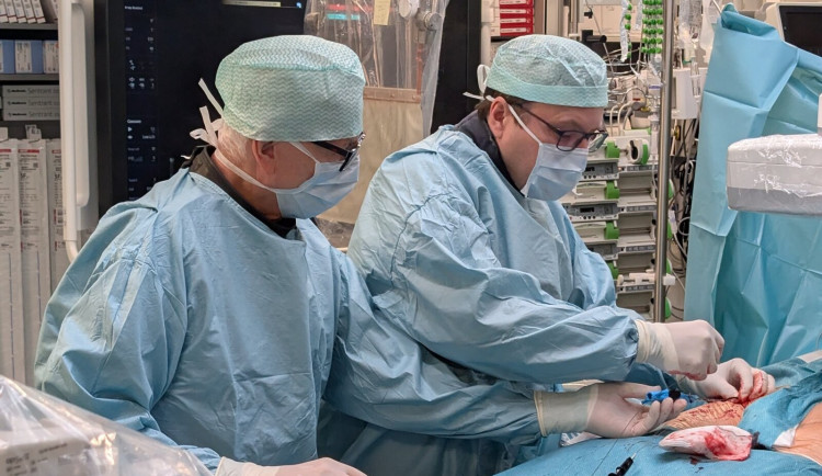 PXL-20251218-092836577.ACTION-PAN-02.ORIGINAL