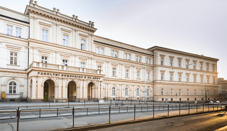 Ilustrační fotografie