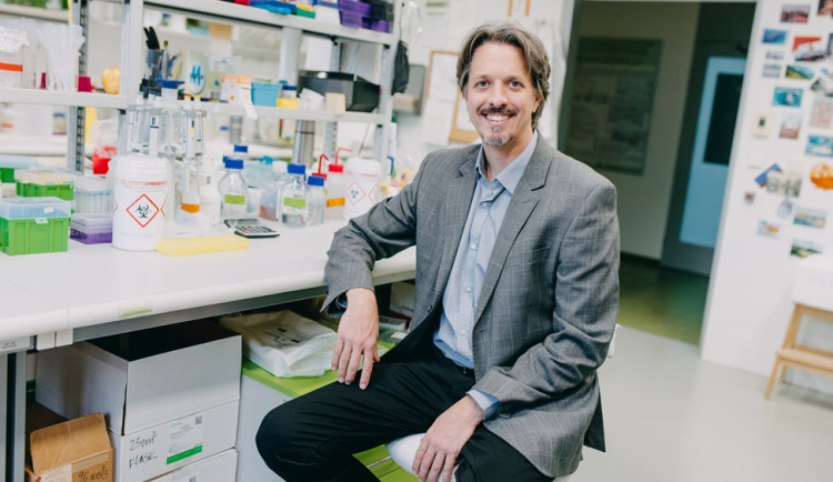 Lékař a biolog z Brna získal grant na vývoj látek k léčbě agresivní leukémie