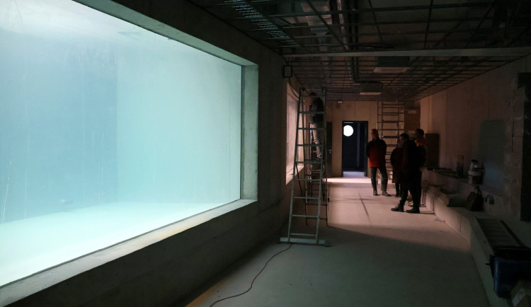 622801685_1464035152392368_9044763138455362587_n