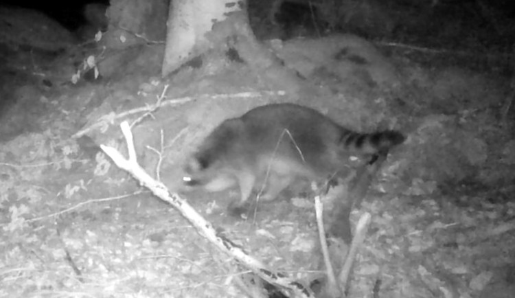 624466603_1333093058860539_6126208658651100808_n