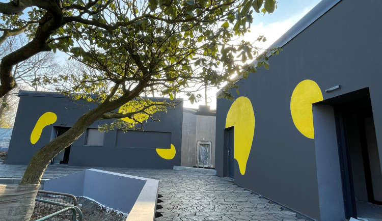 Amphibiarium v Zoo Ostrava je hotové: axolotli a další obojživelníci mají nový domov