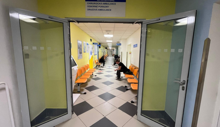 Nemocnost v Libereckém kraji za minulý týden vzrostla skoro o pětinu