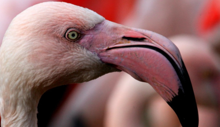 626879400_893557976709683_4859694820628078991_n